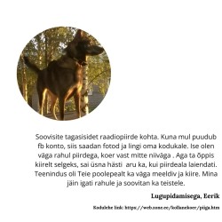 Koera raadiopiire d-fence 101