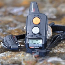 Professional 1000 MINI