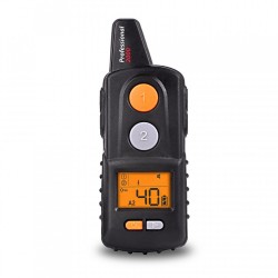 Professional 2000 MINI