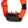 Koera GPS X30T väiksemale koerale