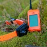 Koerte GPS X30B väiksemale koerale