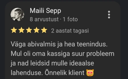 Kassi piirde google tagasiside.webp