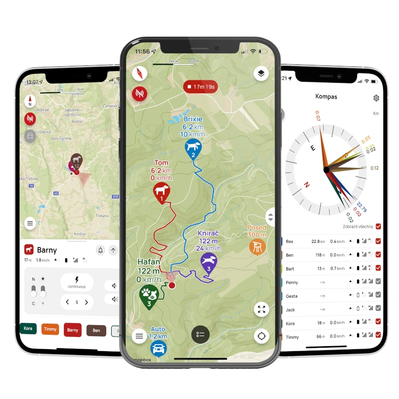 koera gps rakendus, lemmiklooma gps rakendus